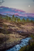 DSC_2126.jpg